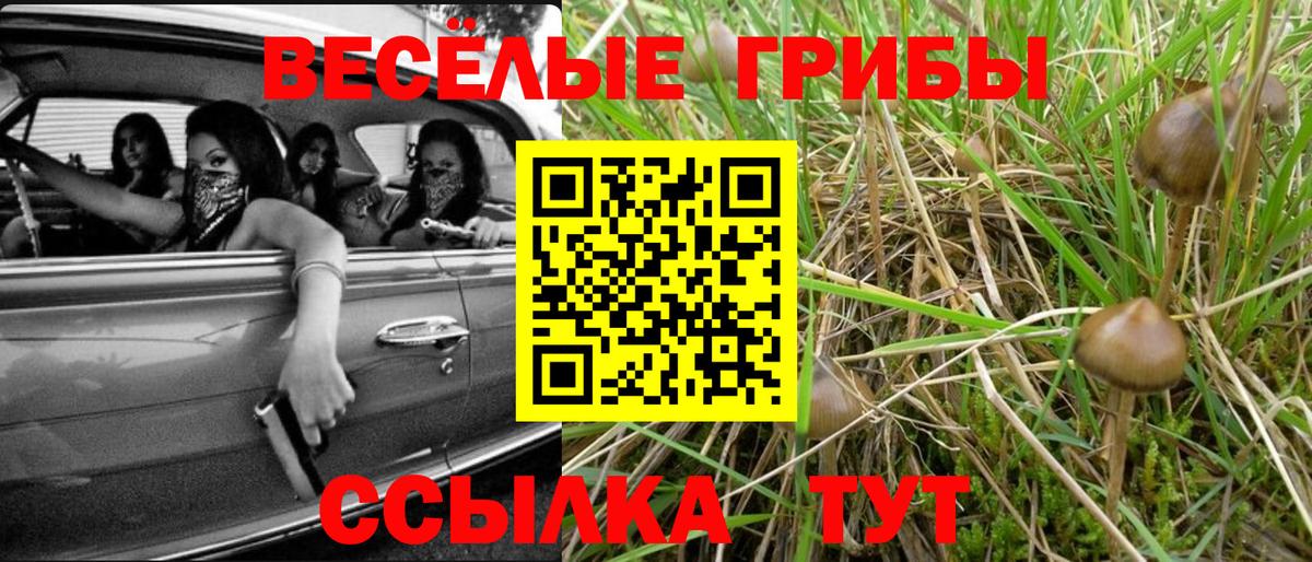 Кодеин  Вход с VPN  ЭКСТАЗИ  КОКАИН  ГАШ  Краснокаменск  Каннабис  Мефедрон кристаллы  Лсд 25 